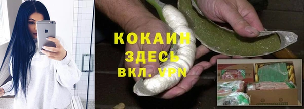индика Армянск