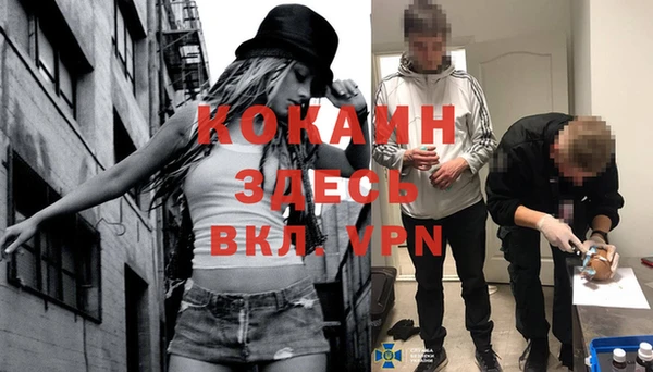 индика Армянск