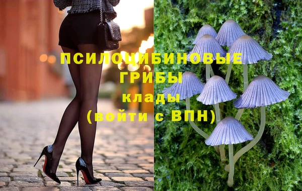 индика Армянск