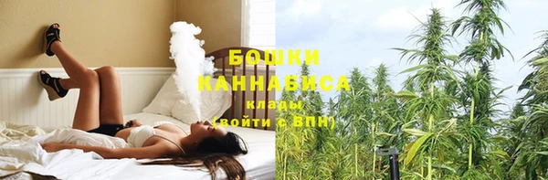 ГАЛЛЮЦИНОГЕННЫЕ ГРИБЫ Нягань