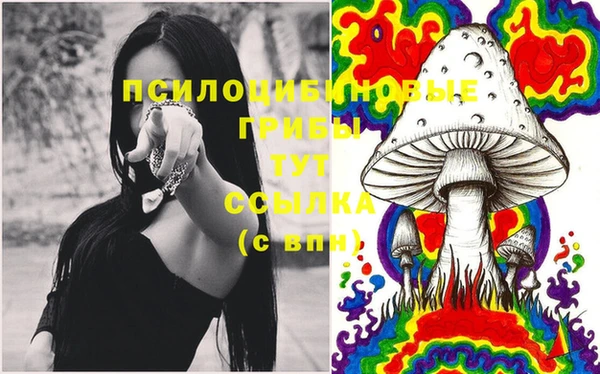 дживик Нязепетровск