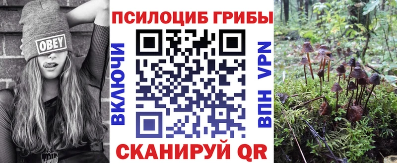 blacksprut tor  Порхов  Галлюциногенные грибы мухоморы 